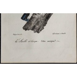 1830 - Sittelle torchepot 