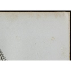 1844 - Catherine de Médicis 