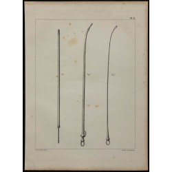 1839 - Sondes et mandrin urétral 