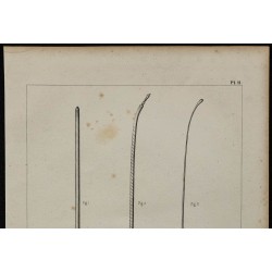 1839 - Sondes et mandrin urétral 
