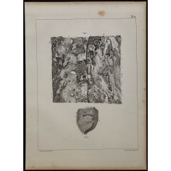 1839 - Circulation utérine et placenta 