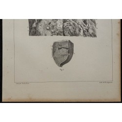 1839 - Circulation utérine et placenta 
