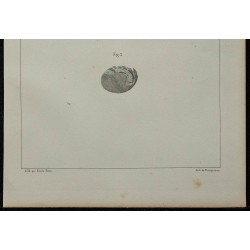 1839 - Structure du cristallin de seiche 