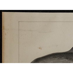 1839 - Corps et tête du marsouin 
