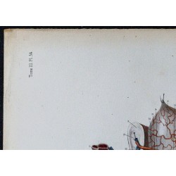 1866 - Veines du bassin chez l’homme. 