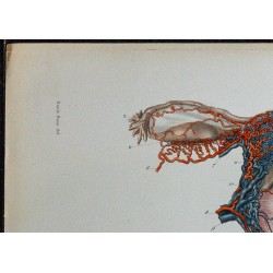 1866 - Appareil génital interne féminin 