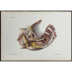 1866 - Bassin & organes...