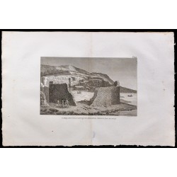 1827 - Basalte de lîle de Mull 