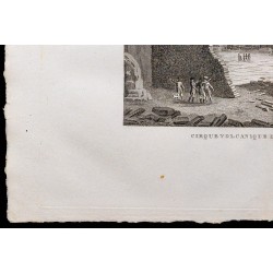 1827 - Basalte de lîle de Mull 