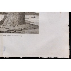 1827 - Basalte de lîle de Mull 