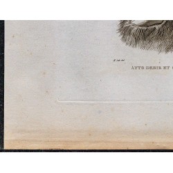 1816 - Ayto Debib et Guebra Mehedin 