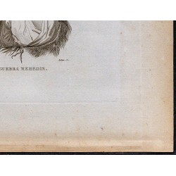 1816 - Ayto Debib et Guebra Mehedin 