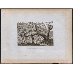 1816 - Daro, vu au pied du Taranta 