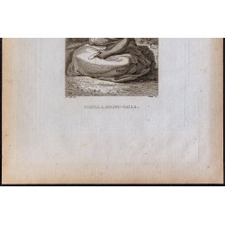 1816 - Berilla, Edjou Galla (Abyssinie - Éthiopie) 