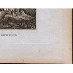 1816 - Chasse de l'hippopotame (Abyssinie / Éthiopie) 