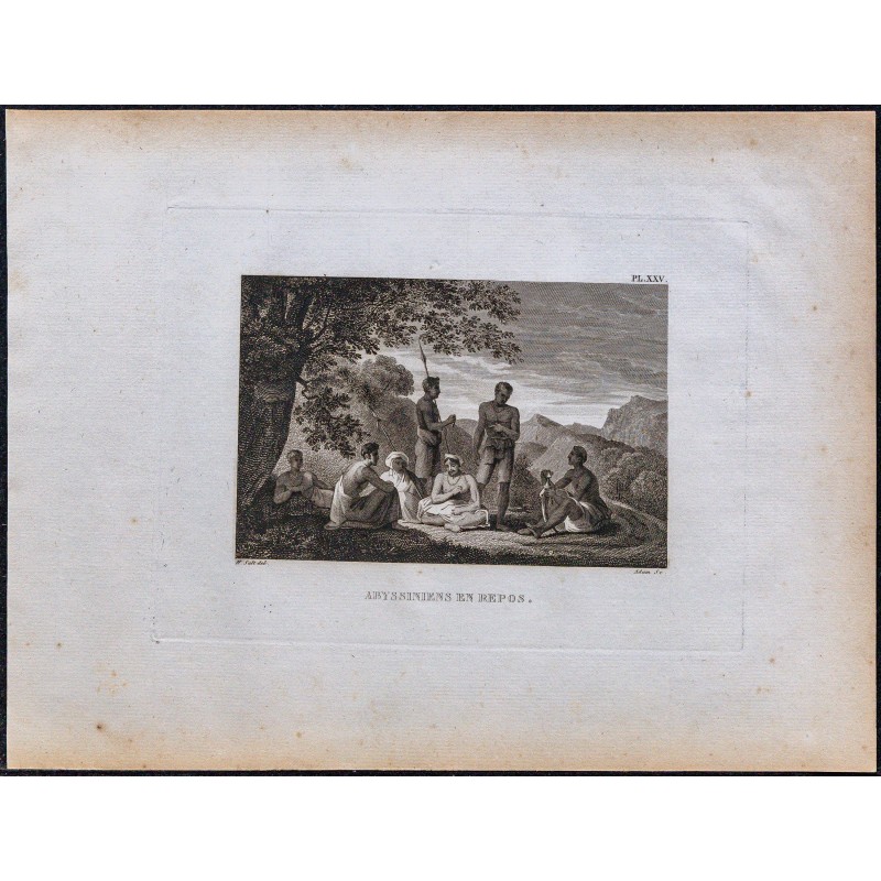 1816 - Abyssiniens en repos 