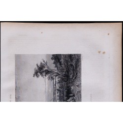 1851 - Château de Versailles 