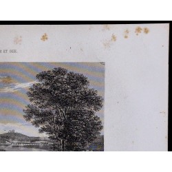 1851 - Vue de Saint-Cloud 