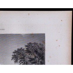 1851 - Ville de Bordeaux 