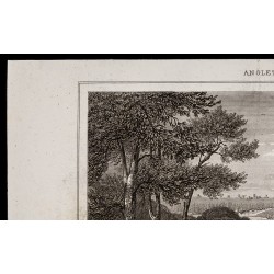 Gravure de 1842 - Greenwich Park - Londres - 2