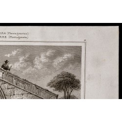 Gravure de 1842 - Pont triangulaire à Crowland - 3