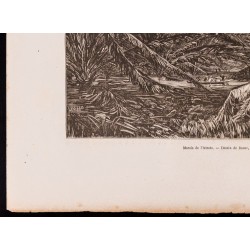 Gravure de 1880 - Marais de l'Atrato (Colombie) - 5