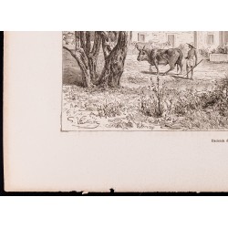 Gravure de 1880 - Hacienda de la Constancia - 5