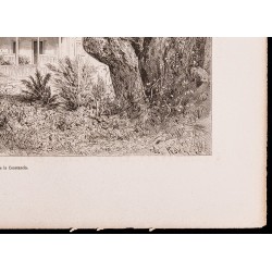 Gravure de 1880 - Hacienda de la Constancia - 6