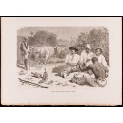 Gravure de 1880 - :Groupe de Vaqueros - 1