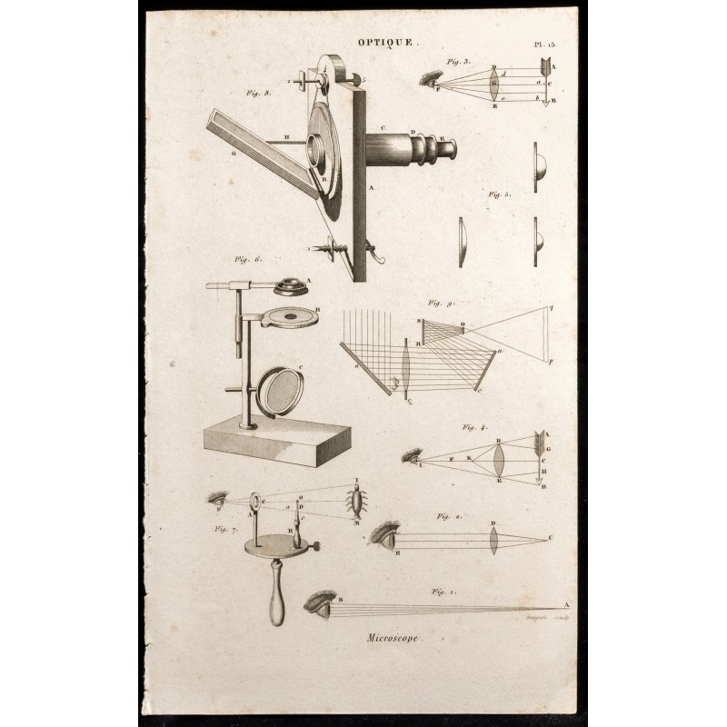Gravure de 1852 - Microscope - Optique - 1