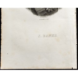 Gravure de 1835 - Portrait de Joseph Banks - 3