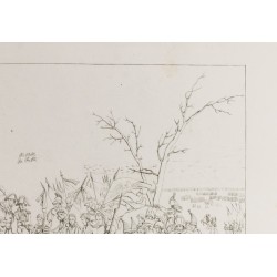 Gravure de 1876 - Fin de la Bataille d’Austerlitz - 4