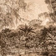 Gravures anciennes : Vues et paysages d'Amérique du Sud.
