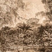 Gravures anciennes : Vues et paysages d'Amérique du Sud.
