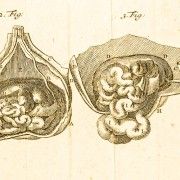 Gravures anciennes - Autres spécialité